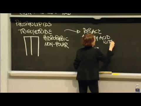 Видео: Макромолекулы. Часть 1.