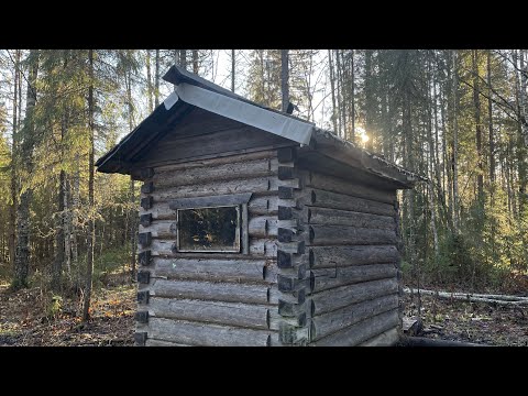 Видео: Посетил Таёжную избушку. Быт и жизнь в таёжной избе. По бездорожью на каракате!