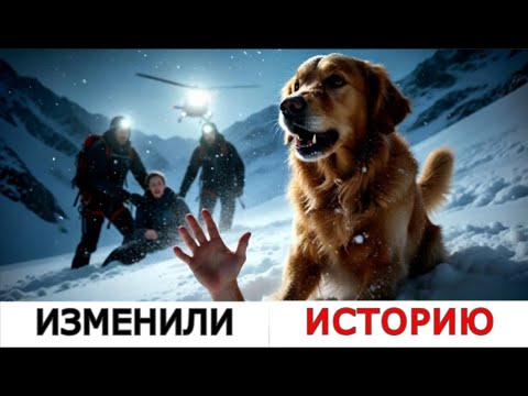 Видео: ТОП-10 Пород Собак, Чей Интеллект и Преданность Изменили Историю Человечества