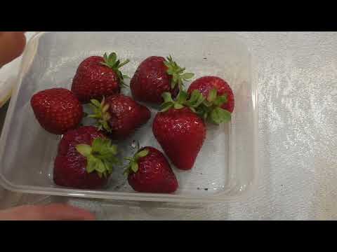 Видео: Серия 3 замер сахара в ранних сортах клубники с 16 по 22 номер