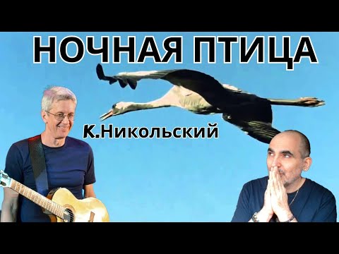 Видео: Константин Никольский - Hочная птица (Воскресение) ║ Французская реакция!