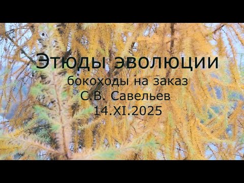 Видео: С.В. Савельев - Этюды эволюции. Бокоходы на заказ.