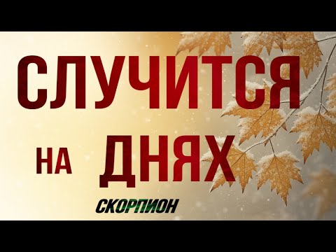 Видео: ✅ СКОРПИОН, ♏️, это ♣️♦️СЛУЧИТСЯ на ❇️ ДНЯХ, таро, гороскоп, скорпион неделя таро, 10-16.11.2025, 