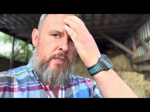 Видео: Айширська порода корів | Private Milk | Михайло Травецький