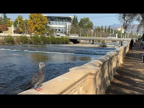 Видео: Из момента. Продолжение про отклик