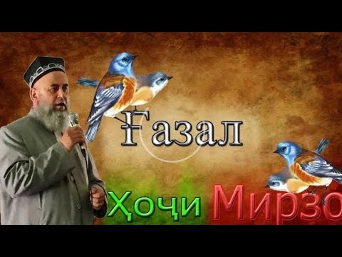 Видео: ҲОҶИ МИРЗО ҒАЗАЛ 😭😭😭