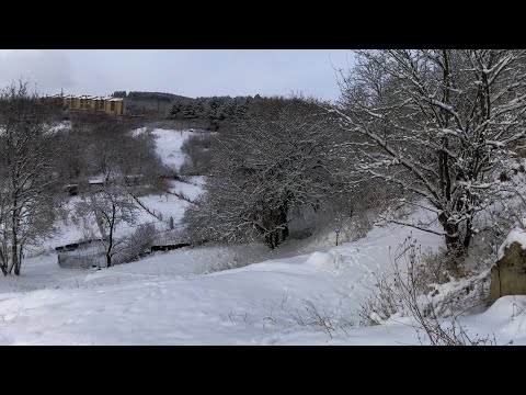 Видео: Снежный и морозный Кисловодск. Прогулка за горбольницей и ул. Катыхина.