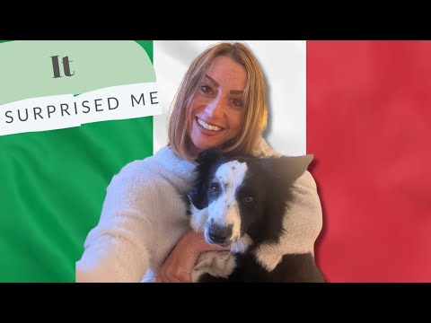 Видео: Чего вам никто не расскажет о том, как завести собаку в Италии