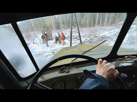 Видео: Я ВЕРНУЛСЯ В БРИГАДУ спустя 2 года! Снова РАБОТАЮ В ЛЕСУ. Лесозаготовка