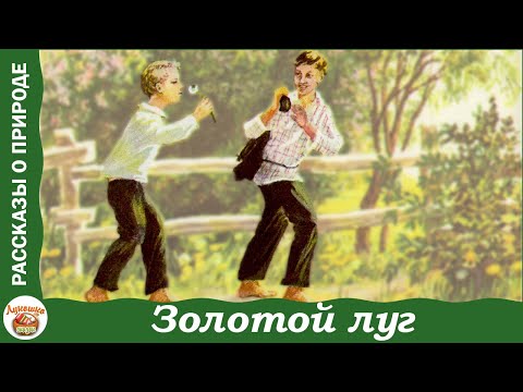 Видео: Золотой луг. Рассказы Михаила Пришвина о природе