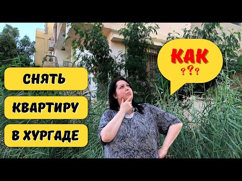 Видео: Как снять квартиру в Хургаде. Египет 2022.