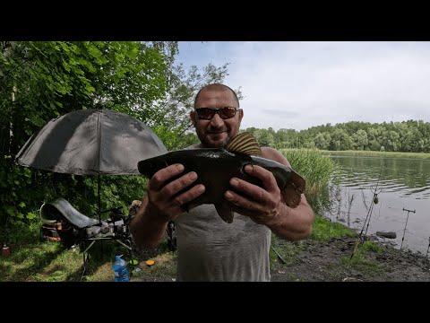 Видео: Хотів зловити ПОТВОРУ на виповзка😱но попав на роздачу ЛИНІВ