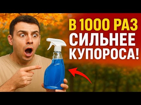 Видео: В 1000 РАЗ СИЛЬНЕЕ КУПОРОСА! Осенняя обработка, после которой бордоская жидкость — просто синяя вод