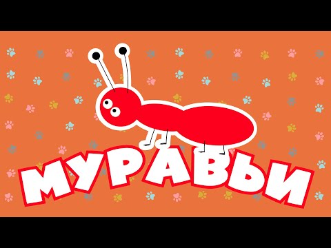 Видео: Творение учит нас | Муравьи