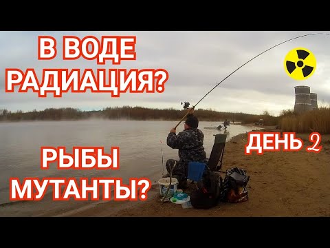 Видео: Рыба Радиоактивна? Клёв на Каждом Забросе/Ловля Тропической Тилапии/День2