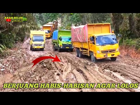 Видео: Боясь застрять в грязи, водители больших грузовиков действуют быстро, чтобы преодолеть трудности.