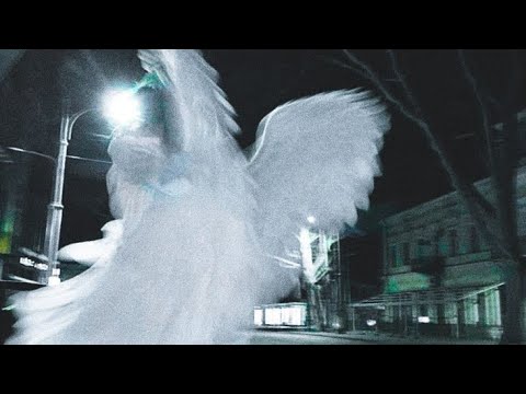 Видео: Ангел-yupi,FORTUNA 812 (sped up+reverb)
