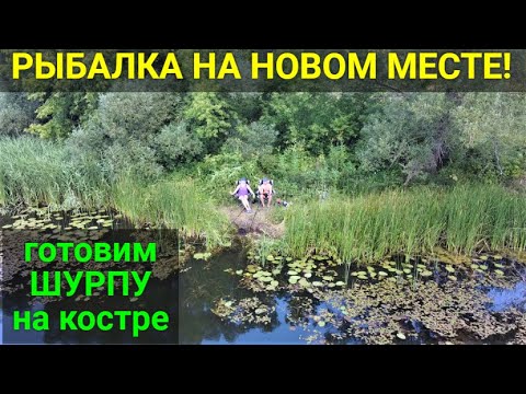 Видео: Рыбалка и отдых на новом месте. Рецепт шурпы в казане на костре!