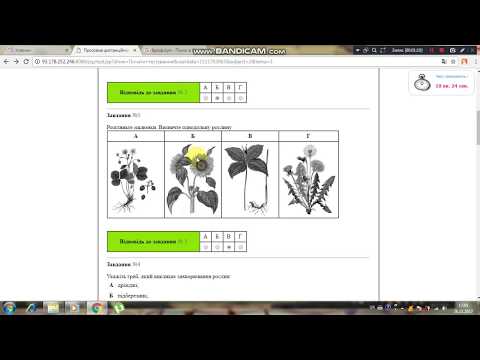 Видео: Тест 2. Біологія рослин. ЗНО. Підготовка