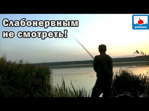 Видео: Эта рыбалка не для слабонервных - новое решение! Рыбалка на линя - 26 серия!