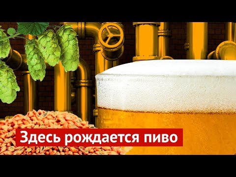 Видео: Всё, что надо знать о производстве пива