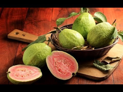 Видео: Какие плодовые субтропические растения можно вырастить в квартире?