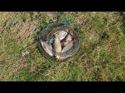 Видео: Рыболовная сеть-дорожка!!! Эта снасть не оставит вас без рыбы!!