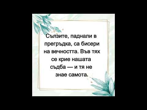 Видео: Завинаги