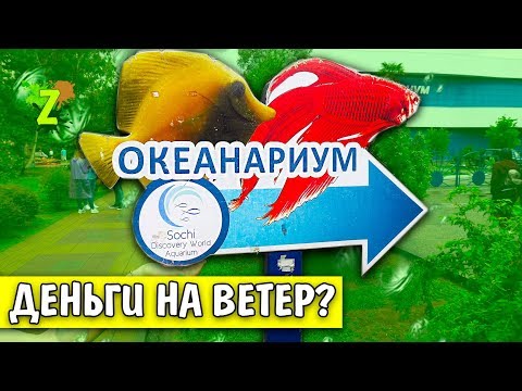 Видео: ДЕНЬГИ НА ВЕТЕР? Адлер Океанариум Sochi Discovery World Aquarium Отзыв