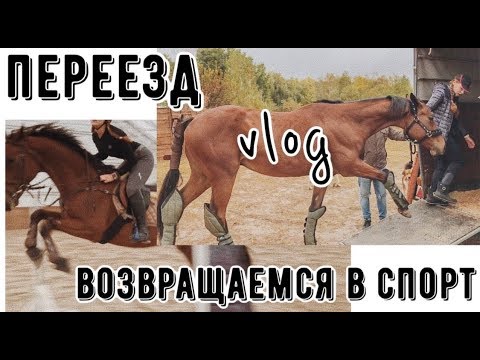 Видео: НОВАЯ КОНЮШНЯ|КОНКУР|ДЕНЬ ИЗ ЖИЗНИ КОННИКА|VLOG 🐎❤️