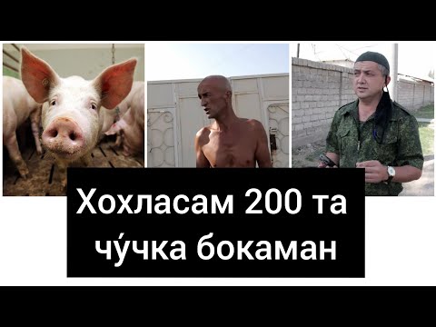 Видео: Чу́чкабокар подполковникга ким чора ку́ради. Тош.вил. Юкори Чирчик тум. Барданку́л худуди. Бахор МФЙ