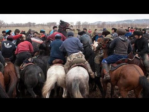 Видео: Қазығұрт ауданы Алтынтөбе жас балдар көкпары😱 #кокпар