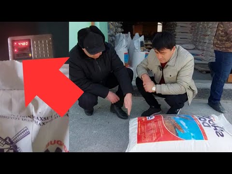 Видео: ТЕЗКОР.. Шовот уни кам чиққанини сири фош бўлди