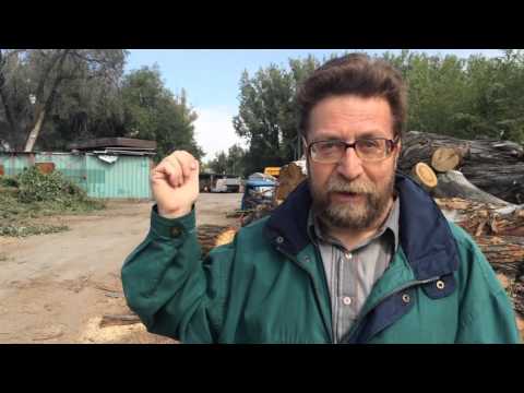 Видео: Укрепление Верное. История Алматы. Краевед Андрей Свиридов