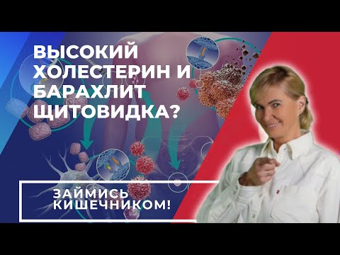 Видео: Высокий холестерин и барахлит щитовидка? Займись кишечником!