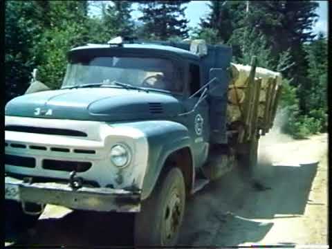Видео: Костенец