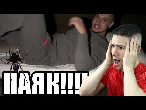 Видео: ОТКРИХМЕ ПАЯК В ПАЛАТКАТА! 😱