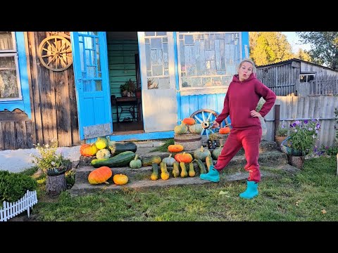 Видео: Это ИЗМЕНИТ многое! Урожай после заморозков и наша жизнь в деревне