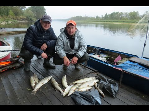 Видео: Бешенный жор щуки в непогоду  р Припять