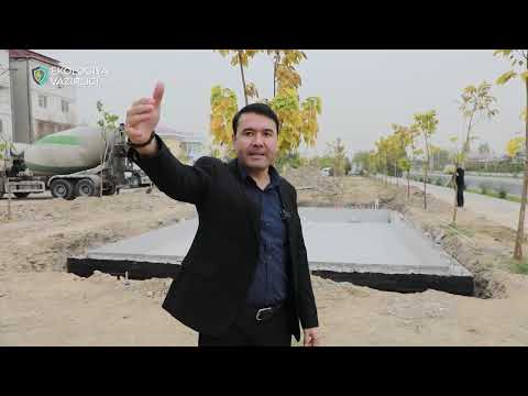 Видео: БУНАҚА ИШЛАР ТЎХТАШИ КЕРАК ❗ТОШКЕНТДА ЯНА ДАРАХТ КЕСИШ МУАММОСИ