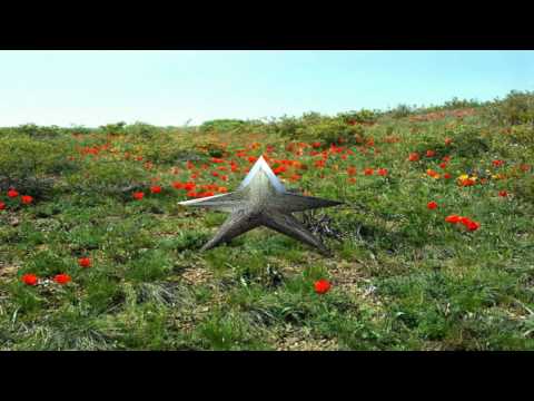 Видео: Отпуск в Каражал 3.