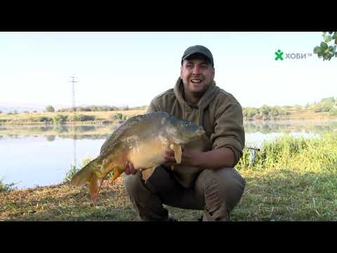 Видео: Шарани на яз.Бистрица-БЕЗДЕН (част 6)