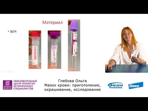 Видео: Ольга Глебова   Один в лаборатории – приготовление мазка, окраска, исследование