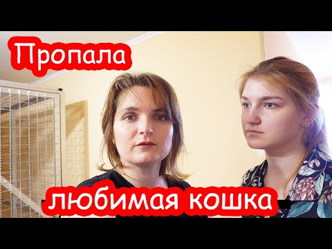 Видео: VLOG Начала разбирать КЛАДОВКИ. Настя плачет