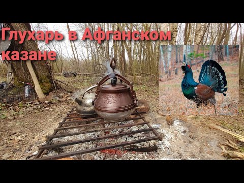 Видео: Глухарь в афганском казане на костре