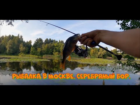 Видео: Рыбалка в Москве. Серебряный бор.