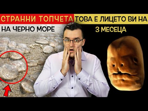 Видео: ТОП 10 НОВИ НЕЩА, които ще видите за ПЪРВИ ПЪТ В ЖИВОТА СИ