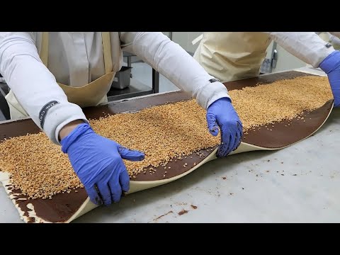 Видео: коллекция закрученных пончиков разных стилей