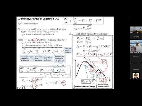 Видео: Глазунов А.В. ЧИСЛЕННОЕ МОДЕЛИРОВАНИЕ ТУРБУЛЕНТНОСТИ В ГОРОДСКОЙ СРЕДЕ ПРИ НАЛИЧИИ РАСТИТЕЛЬНОСТИ