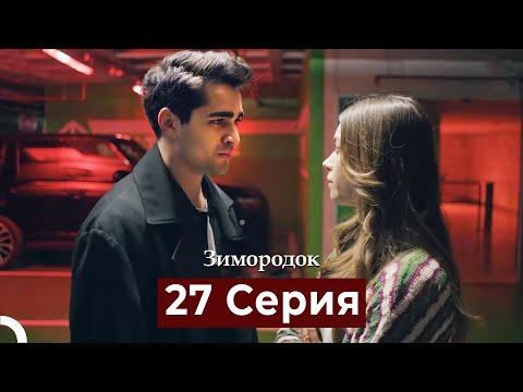 Видео: Зимородок 27 Cерия (Русский дубляж)
